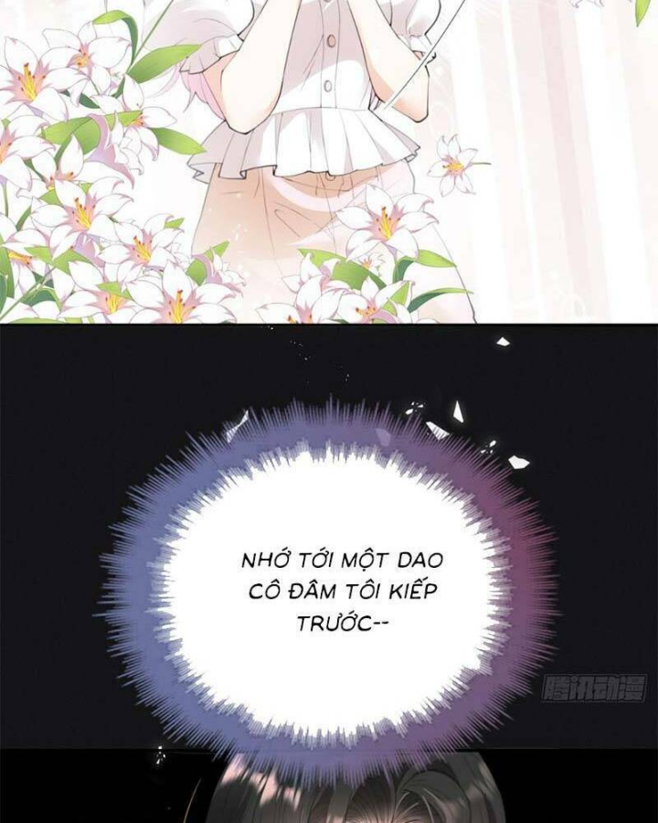 Trọng Sinh Báo Thù Gặp Được Bá Đạo Tổng Tài Chapter 02 - Trang 2