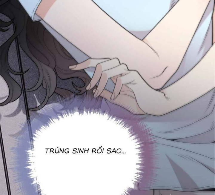 Trọng Sinh Báo Thù Gặp Được Bá Đạo Tổng Tài Chapter 02 - Trang 2