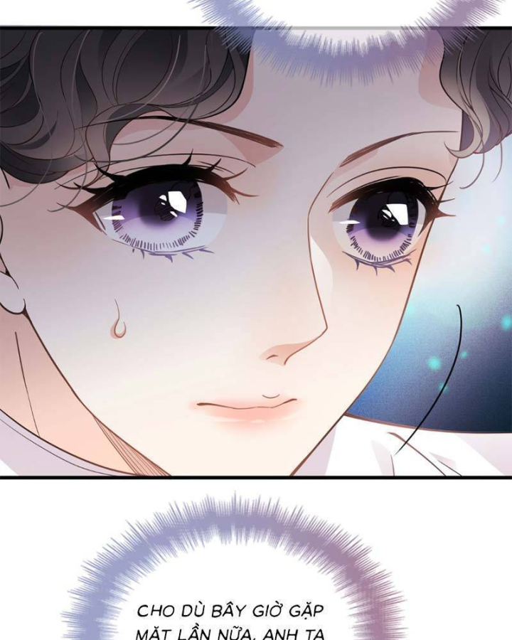 Trọng Sinh Báo Thù Gặp Được Bá Đạo Tổng Tài Chapter 06 - Trang 2