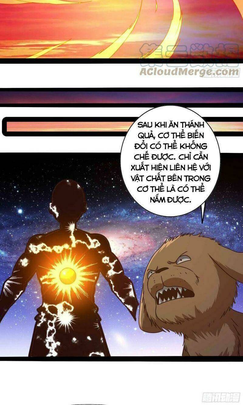 Trọng Sinh Đô Thị Thiên Tôn Chapter 294 - Trang 2