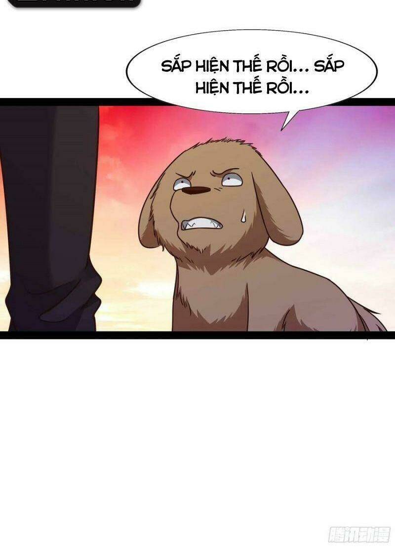 Trọng Sinh Đô Thị Thiên Tôn Chapter 294 - Trang 2