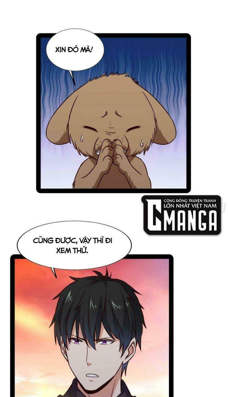 Trọng Sinh Đô Thị Thiên Tôn Chapter 295 - Trang 2