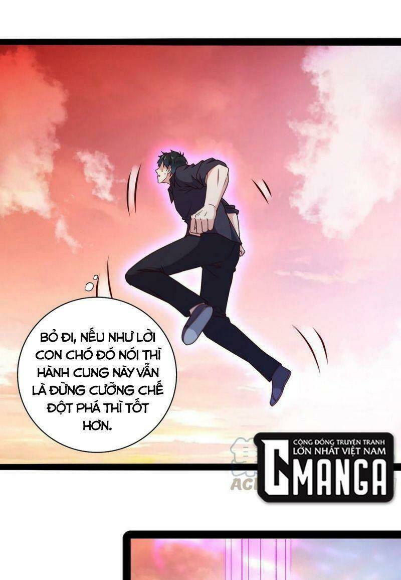 Trọng Sinh Đô Thị Thiên Tôn Chapter 295 - Trang 2