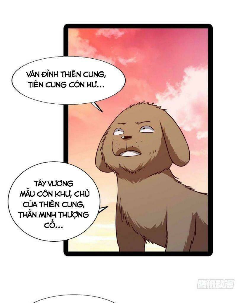 Trọng Sinh Đô Thị Thiên Tôn Chapter 295 - Trang 2