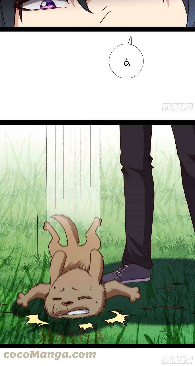 Trọng Sinh Đô Thị Thiên Tôn Chapter 297 - Trang 2