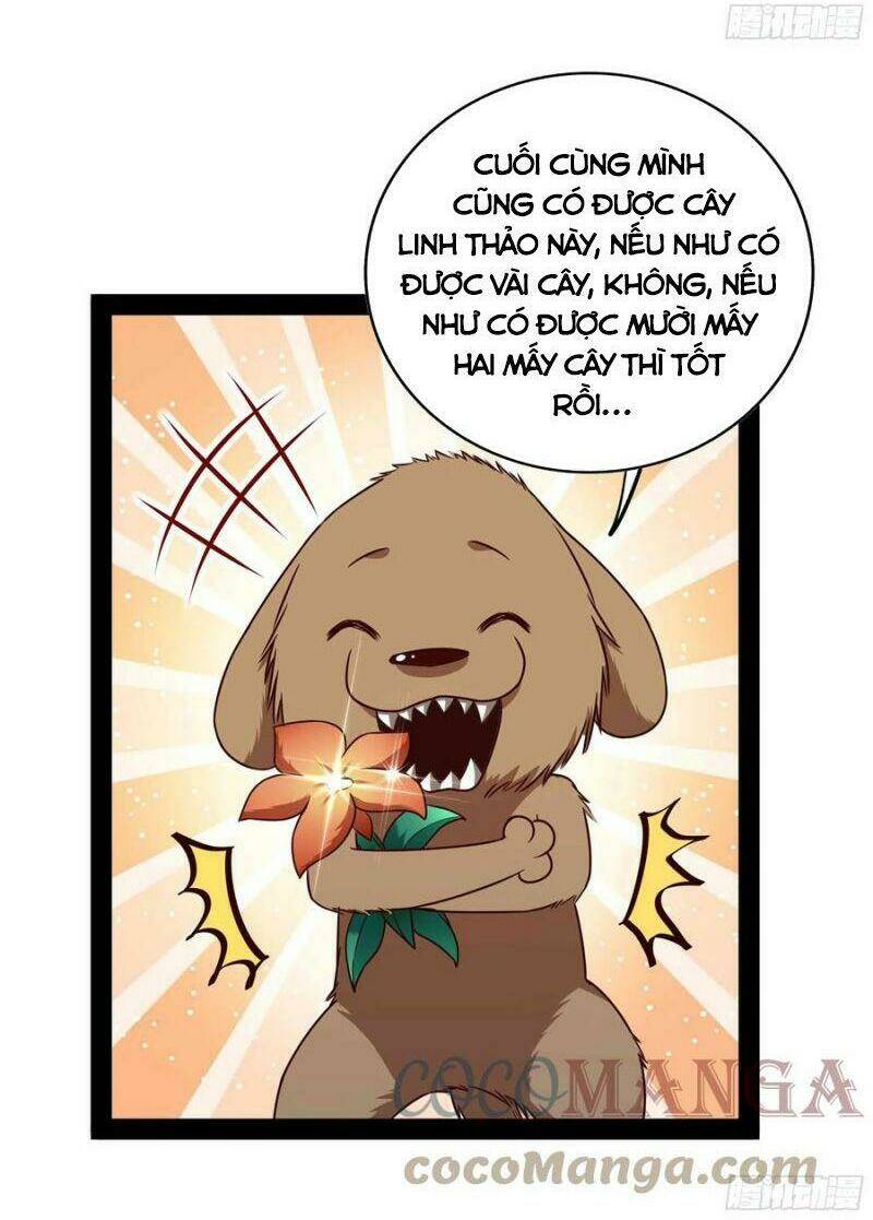 Trọng Sinh Đô Thị Thiên Tôn Chapter 297 - Trang 2