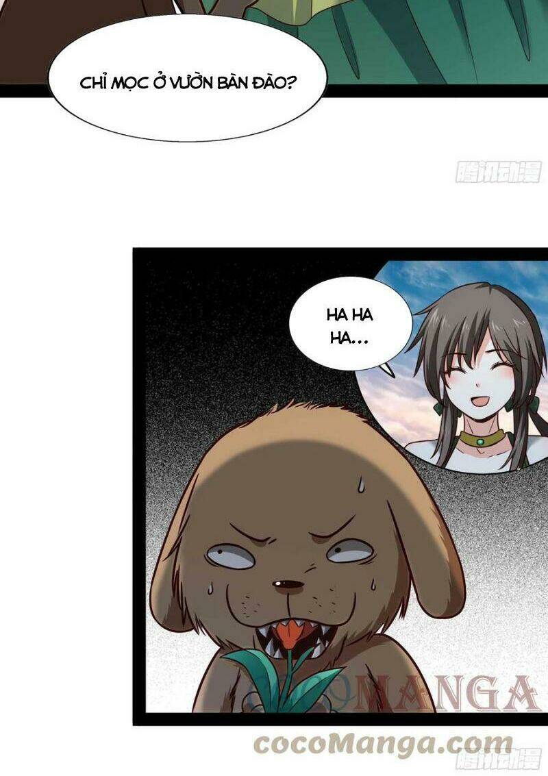 Trọng Sinh Đô Thị Thiên Tôn Chapter 297 - Trang 2