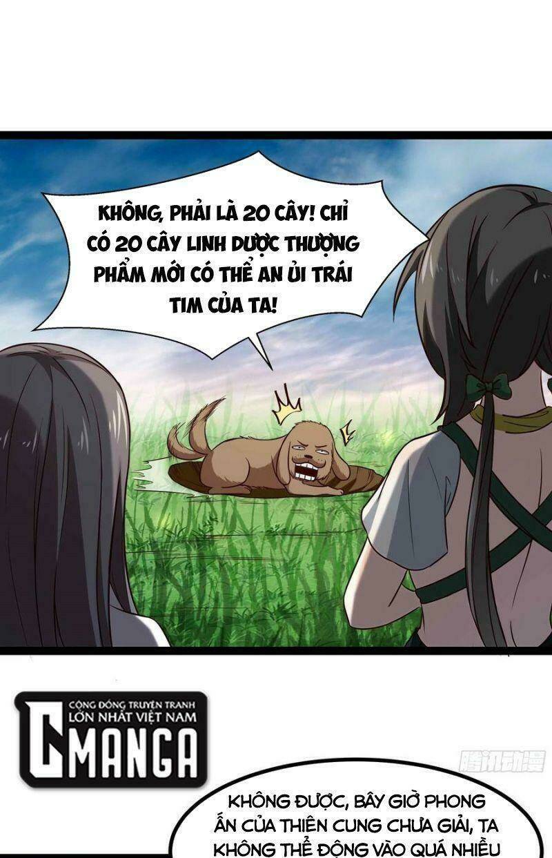 Trọng Sinh Đô Thị Thiên Tôn Chapter 298 - Trang 2