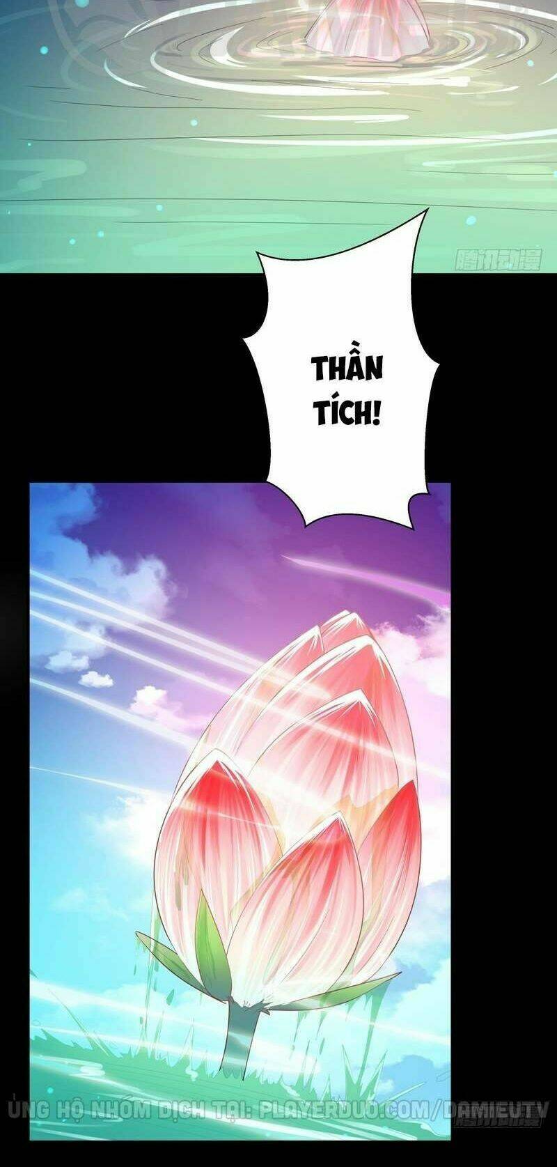 Trọng Sinh Đô Thị Thiên Tôn Chapter 91 - Trang 2