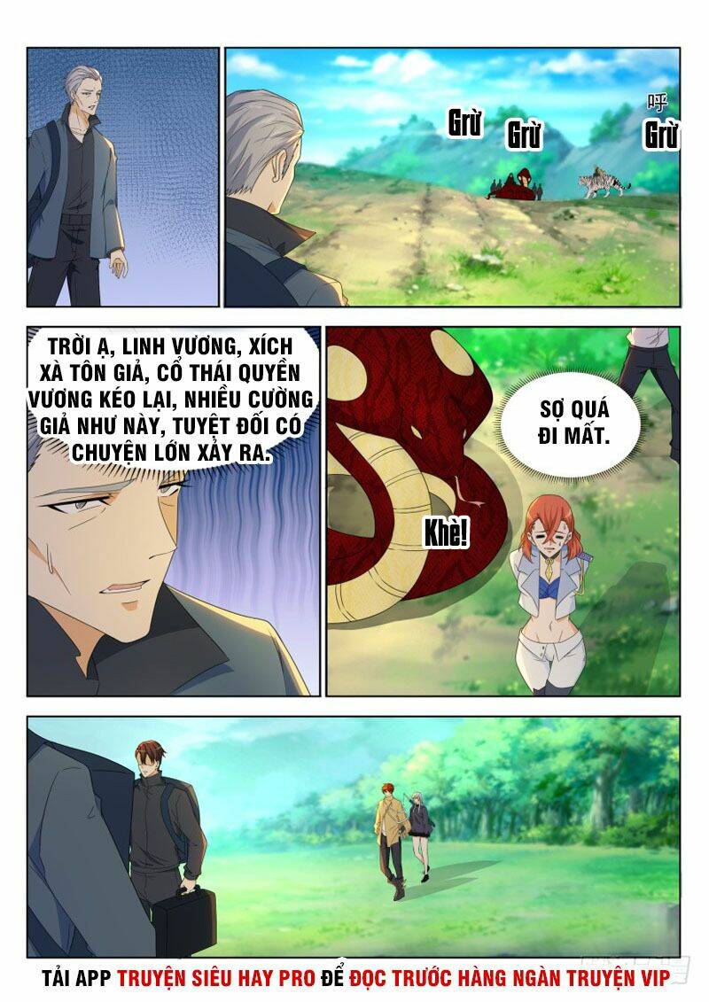 Trọng Sinh Đô Thị Tu Tiên Chapter 276 - Trang 2