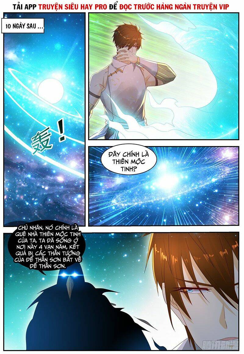 Trọng Sinh Đô Thị Tu Tiên Chapter 557 - Trang 2