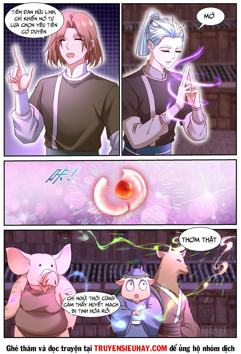 Trọng Sinh Đô Thị Tu Tiên Chapter 898 - Trang 2