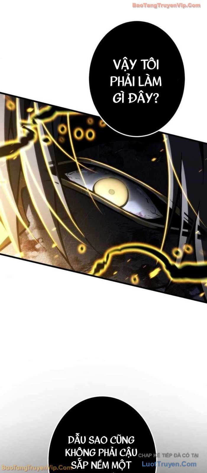 Trọng Sinh Giả Streaming Chapter 20 - Trang 2