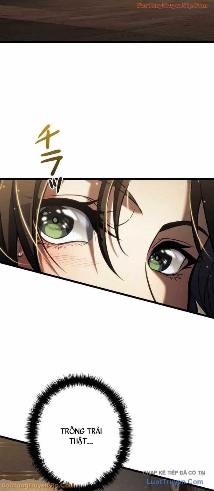 Trọng Sinh Giả Streaming Chapter 24 - Trang 2