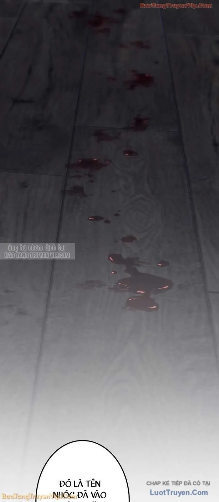 Trọng Sinh Giả Streaming Chapter 5 - Trang 2