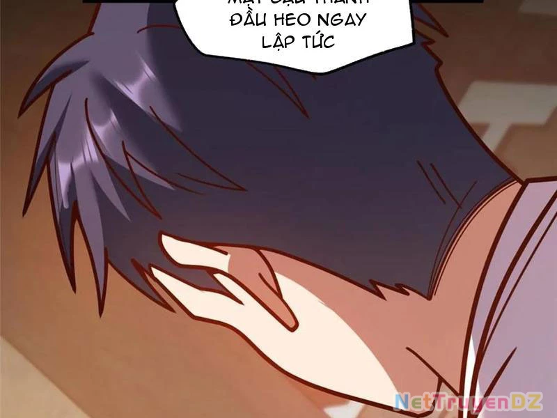 Trọng Sinh Không Làm Chạn Vương, Tôi Một Mình Nạp Game Thăng Cấp Chapter 177 - Trang 2