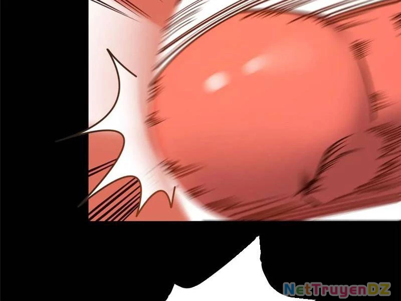 Trọng Sinh Không Làm Chạn Vương, Tôi Một Mình Nạp Game Thăng Cấp Chapter 177 - Trang 2