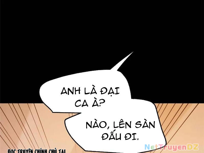 Trọng Sinh Không Làm Chạn Vương, Tôi Một Mình Nạp Game Thăng Cấp Chapter 177 - Trang 2