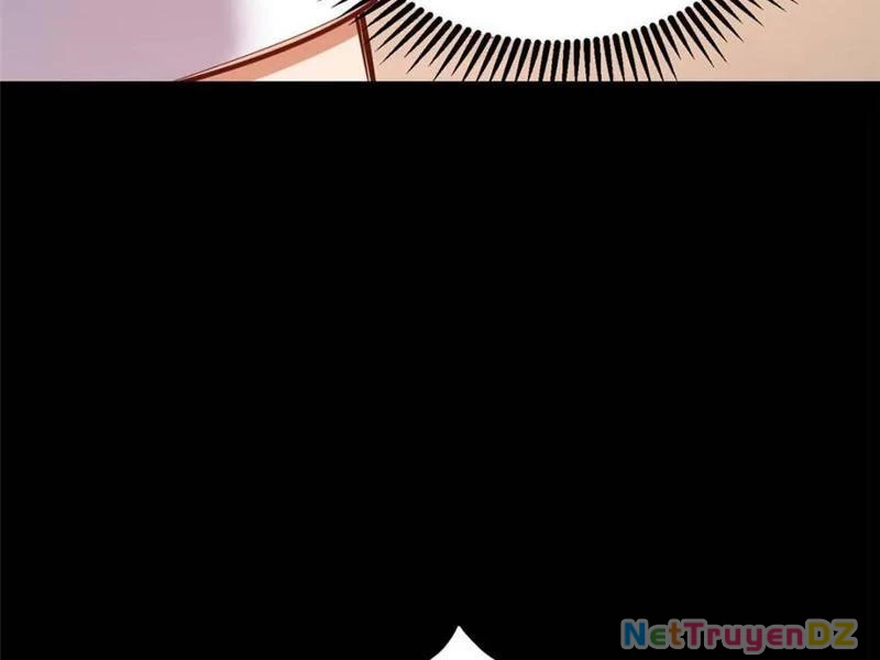 Trọng Sinh Không Làm Chạn Vương, Tôi Một Mình Nạp Game Thăng Cấp Chapter 178 - Trang 2