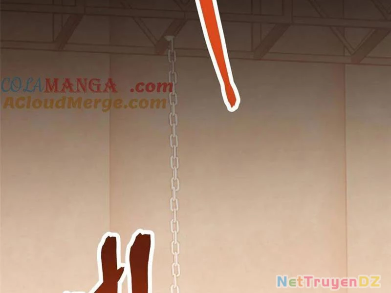 Trọng Sinh Không Làm Chạn Vương, Tôi Một Mình Nạp Game Thăng Cấp Chapter 178 - Trang 2