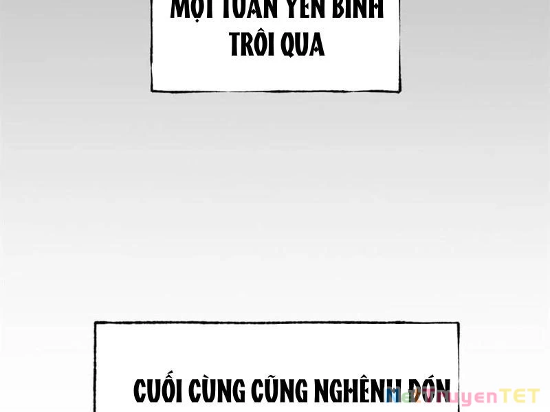 Trọng Sinh Không Làm Chạn Vương, Tôi Một Mình Nạp Game Thăng Cấp Chapter 199 - Trang 2