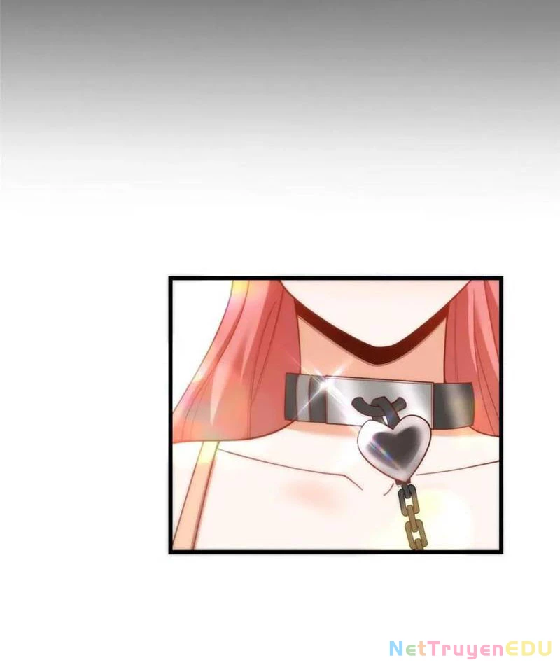 Trọng Sinh Không Làm Chạn Vương, Tôi Một Mình Nạp Game Thăng Cấp Chapter 202 - Trang 2