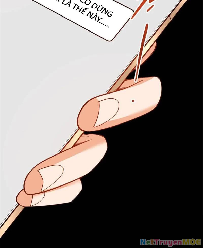 Trọng Sinh Không Làm Chạn Vương, Tôi Một Mình Nạp Game Thăng Cấp Chapter 206 - Trang 2