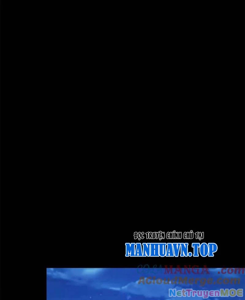 Trọng Sinh Không Làm Chạn Vương, Tôi Một Mình Nạp Game Thăng Cấp Chapter 206 - Trang 2