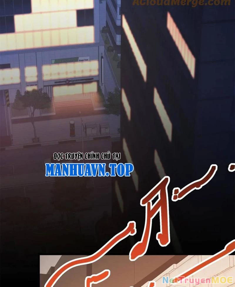 Trọng Sinh Không Làm Chạn Vương, Tôi Một Mình Nạp Game Thăng Cấp Chapter 206 - Trang 2