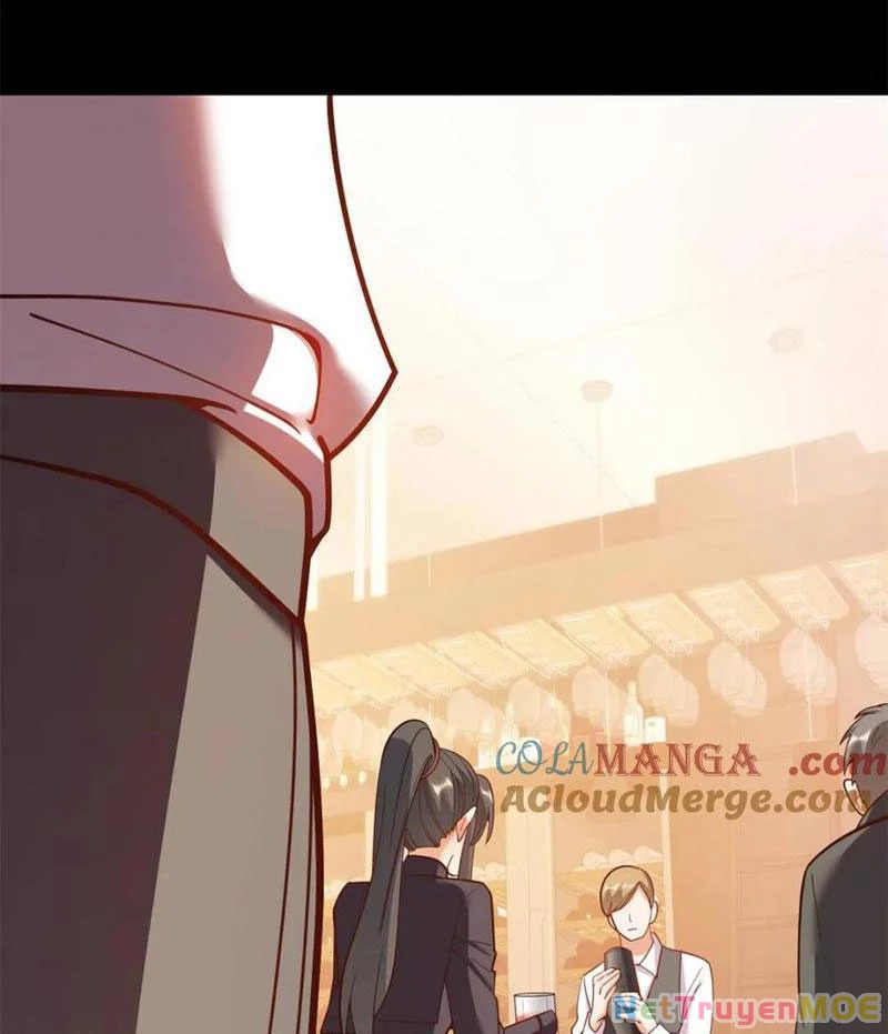 Trọng Sinh Không Làm Chạn Vương, Tôi Một Mình Nạp Game Thăng Cấp Chapter 206 - Trang 2