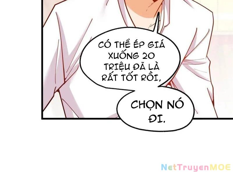 Trọng Sinh Không Làm Chạn Vương, Tôi Một Mình Nạp Game Thăng Cấp Chapter 207 - Trang 2