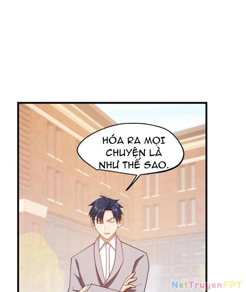 Trọng Sinh Không Làm Chạn Vương, Tôi Một Mình Nạp Game Thăng Cấp Chapter 213 - Trang 2
