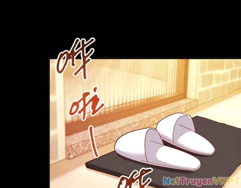Trọng Sinh Không Làm Chạn Vương, Tôi Một Mình Nạp Game Thăng Cấp Chapter 218 - Trang 2