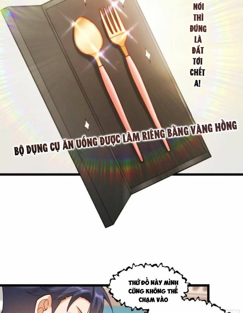 Trọng Sinh Không Làm Chạn Vương, Tôi Một Mình Nạp Game Thăng Cấp Chapter 58 - Trang 2