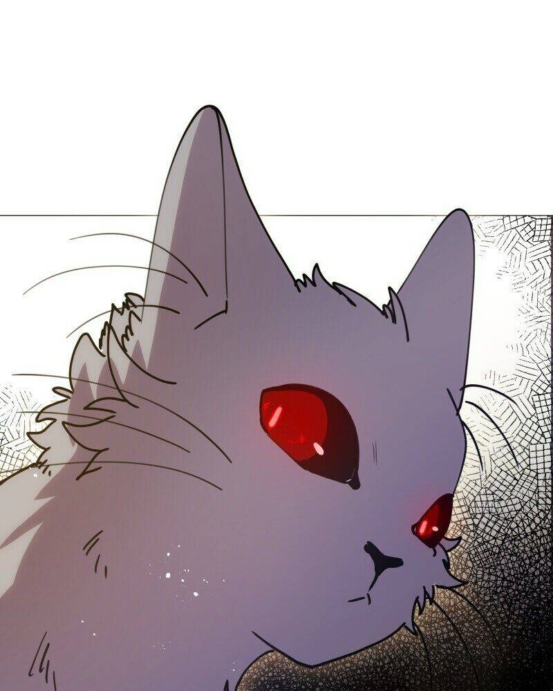 Trọng Sinh Mạc Thế Chapter 101 - Trang 2