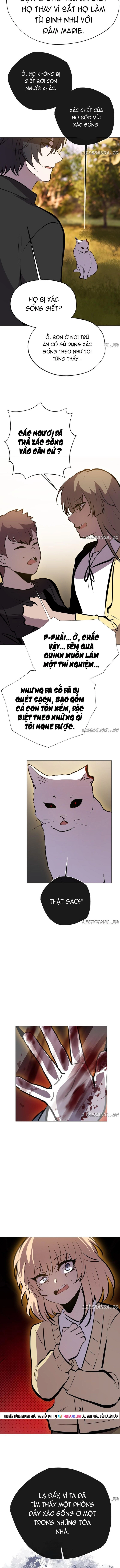 Trọng Sinh Mạc Thế Chapter 215 - Trang 2