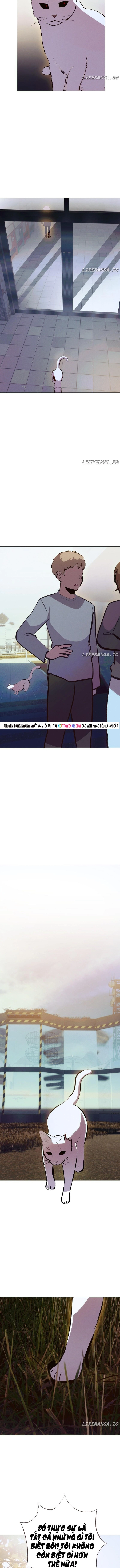 Trọng Sinh Mạc Thế Chapter 215 - Trang 2