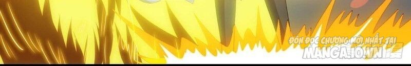 Trọng Sinh Sau Tám Vạn Năm Chapter 113 - Trang 2