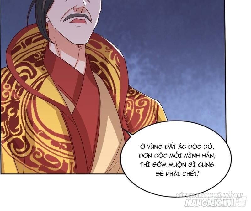 Trọng Sinh Sau Tám Vạn Năm Chapter 115 - Trang 2