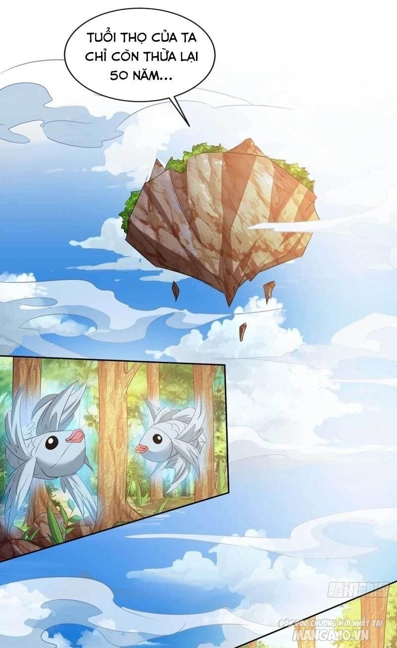 Trọng Sinh Sau Tám Vạn Năm Chapter 126 - Trang 2