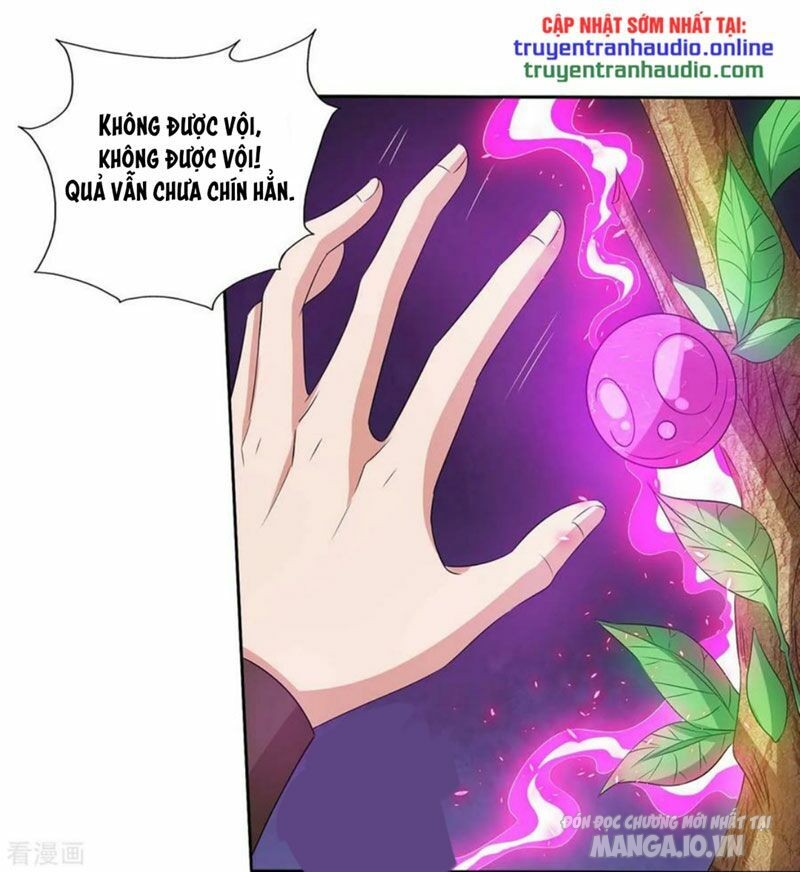 Trọng Sinh Sau Tám Vạn Năm Chapter 139 - Trang 2