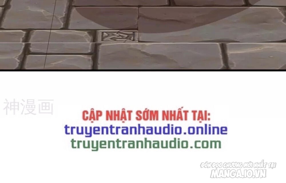 Trọng Sinh Sau Tám Vạn Năm Chapter 161 - Trang 2