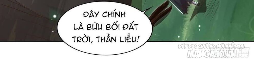 Trọng Sinh Sau Tám Vạn Năm Chapter 165 - Trang 2