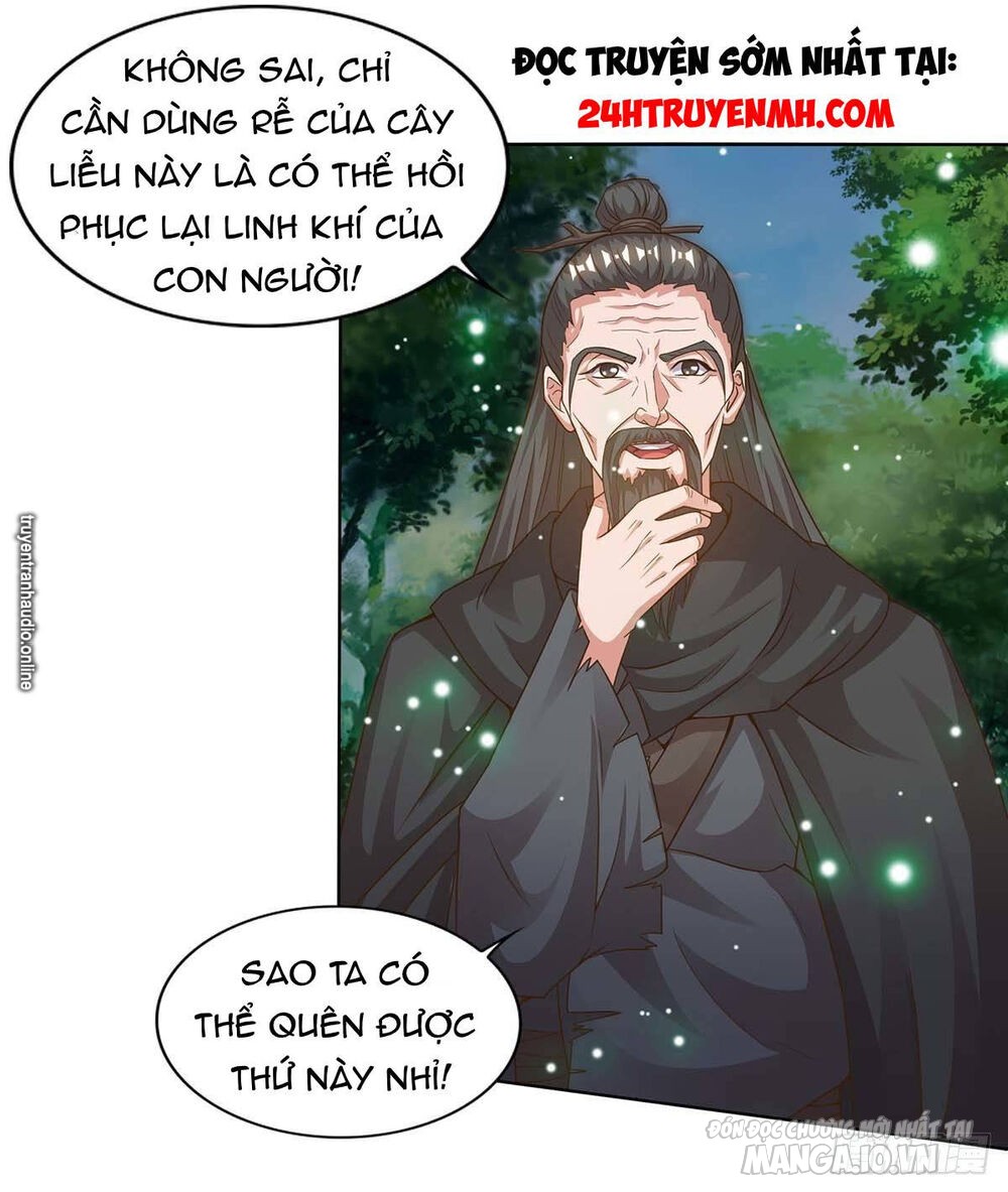 Trọng Sinh Sau Tám Vạn Năm Chapter 165 - Trang 2