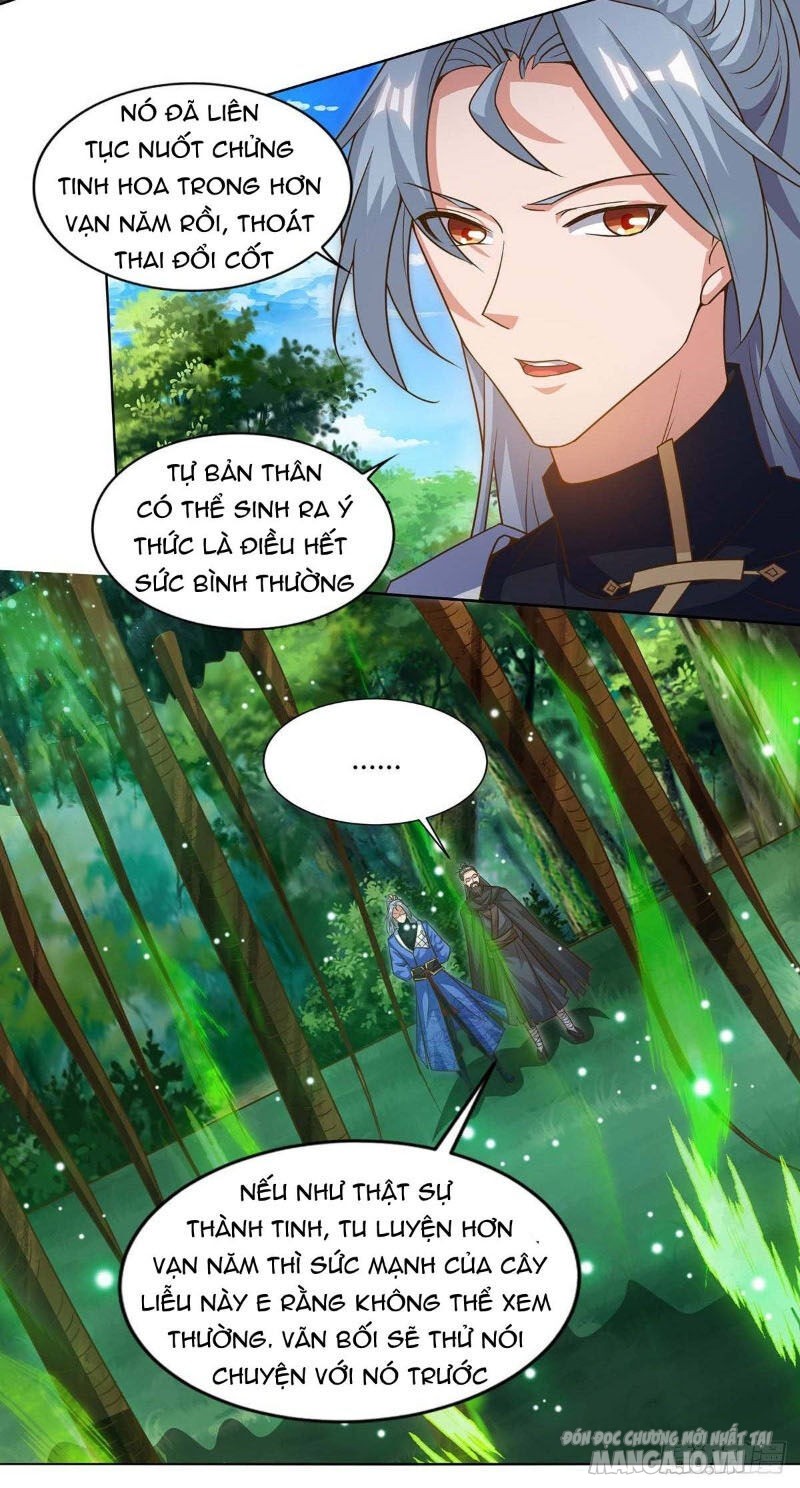 Trọng Sinh Sau Tám Vạn Năm Chapter 165 - Trang 2