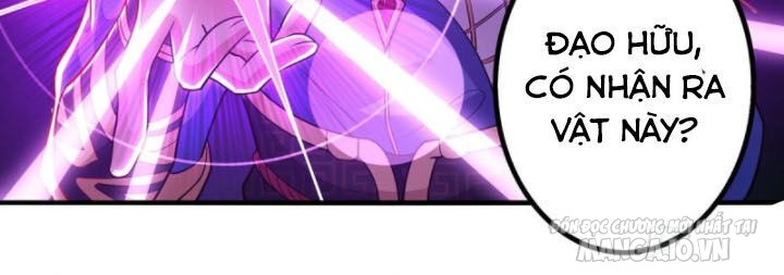 Trọng Sinh Sau Tám Vạn Năm Chapter 166 - Trang 2