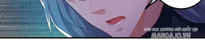 Trọng Sinh Sau Tám Vạn Năm Chapter 167 - Trang 2