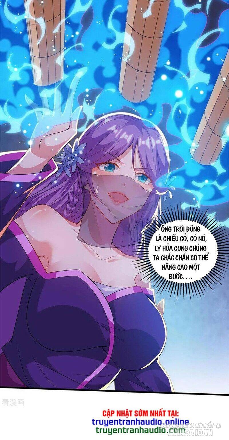 Trọng Sinh Sau Tám Vạn Năm Chapter 176 - Trang 2