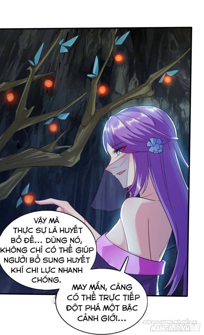 Trọng Sinh Sau Tám Vạn Năm Chapter 183 - Trang 2