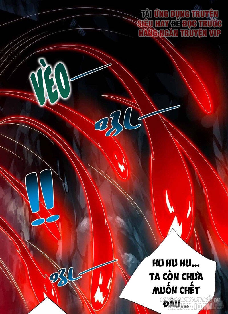 Trọng Sinh Sau Tám Vạn Năm Chapter 189 - Trang 2